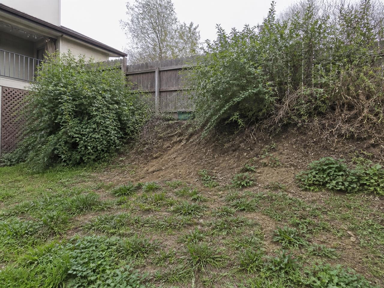 Eroding weedy backyard slope before landscaping